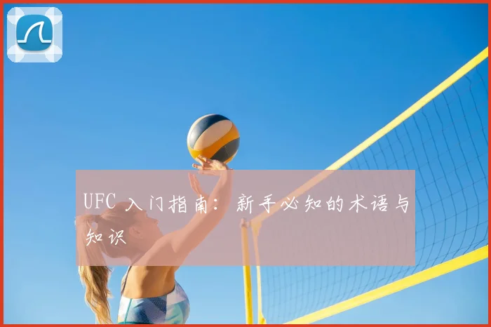 UFC 入门指南:新手必知的术语与知识