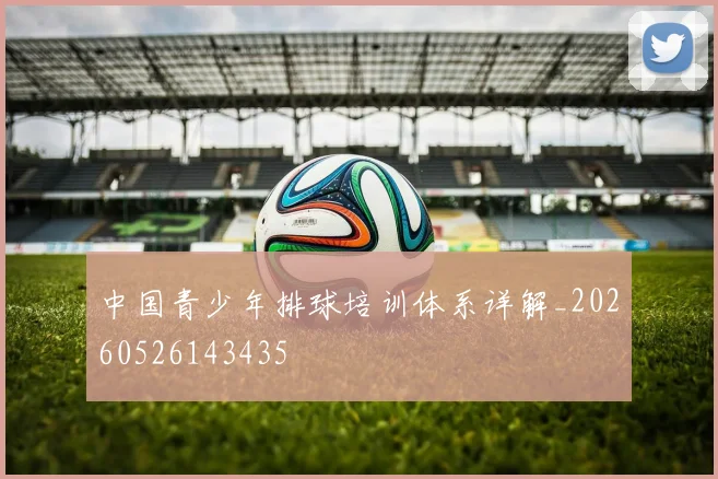 中国青少年排球培训体系详解_20260526143435