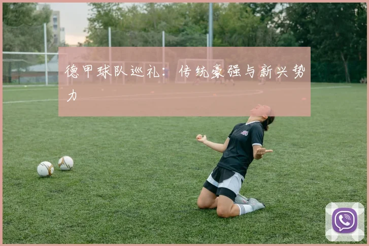 德甲球队巡礼:传统豪强与新兴势力