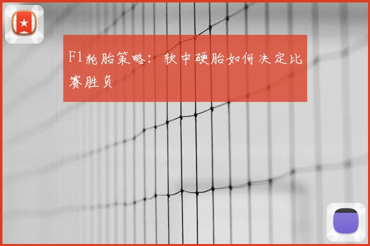 F1轮胎策略：软中硬胎如何决定比赛胜负